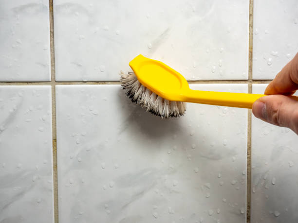 Best Office Mold Removal Services  in Chicago Ridge, IL