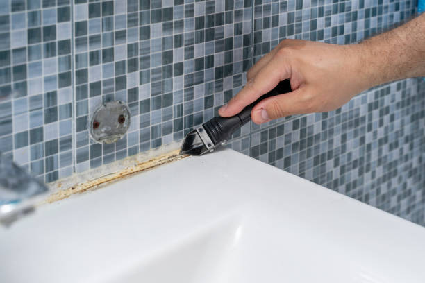 Best Mold Remediation  in Chicago Ridge, IL